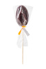 Леденец Sosuчki «Вагинка Whiskey and cola», черная, 50 гр.